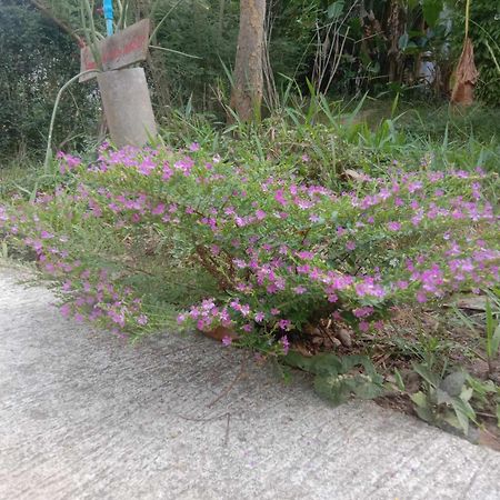 Koh Mook Bamboo Bungalows מראה חיצוני תמונה
