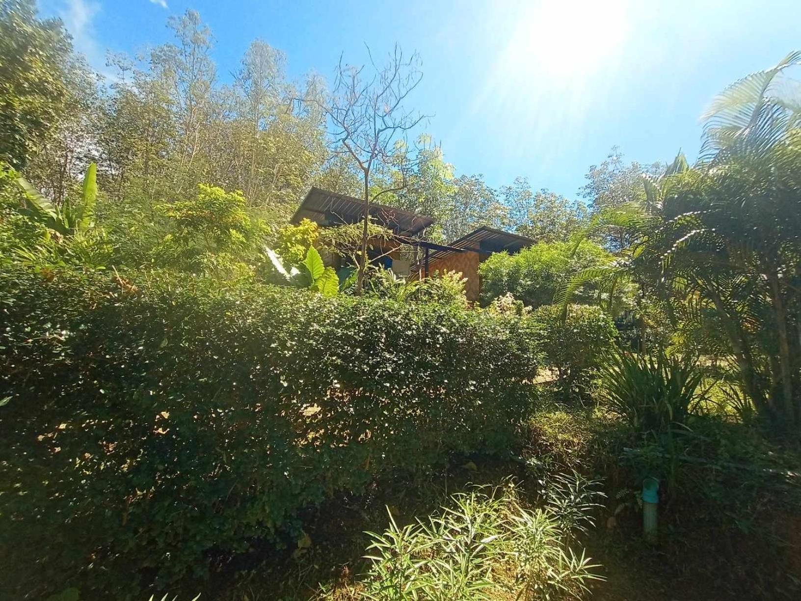 Koh Mook Bamboo Bungalows מראה חיצוני תמונה