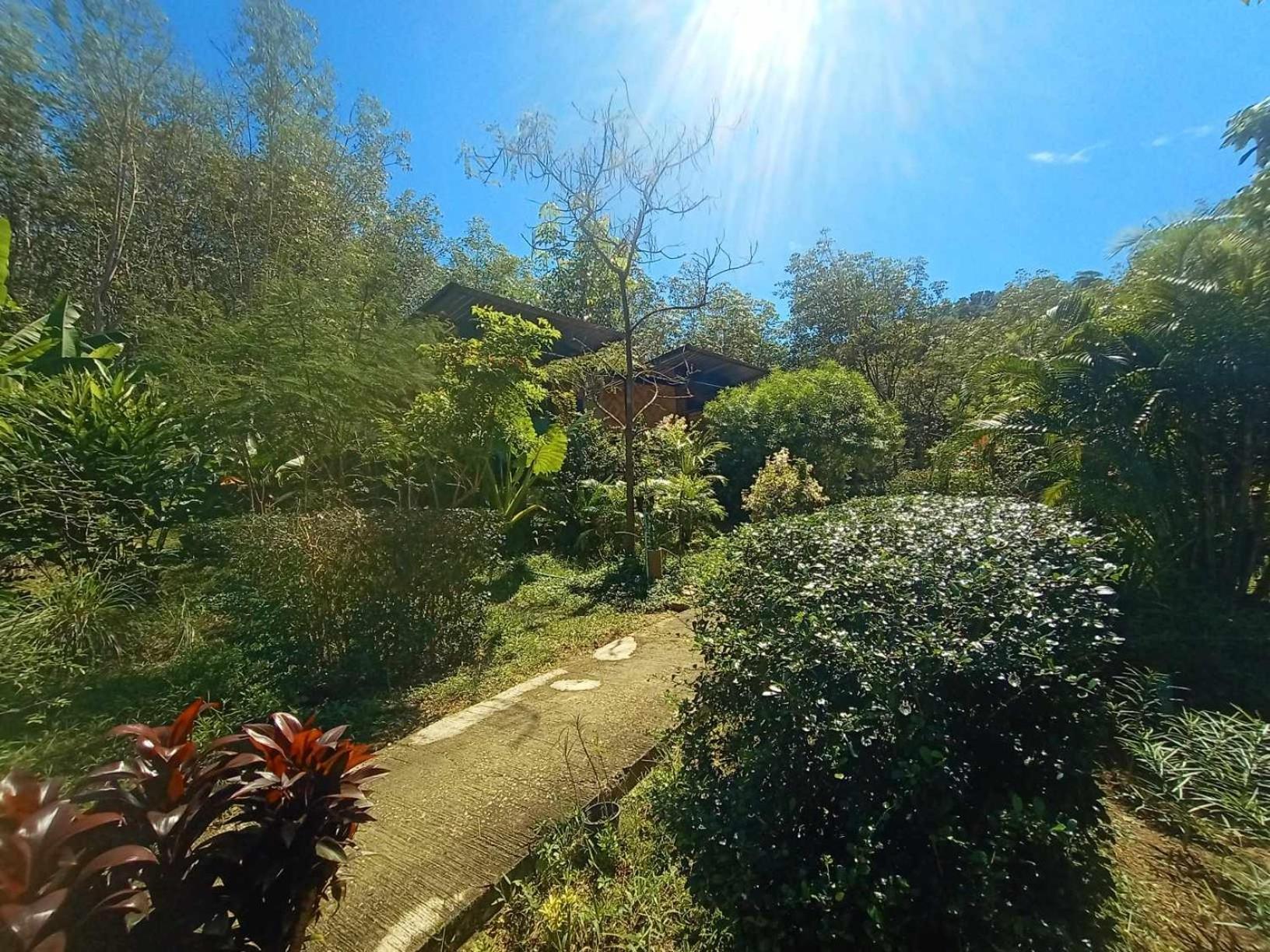 Koh Mook Bamboo Bungalows מראה חיצוני תמונה
