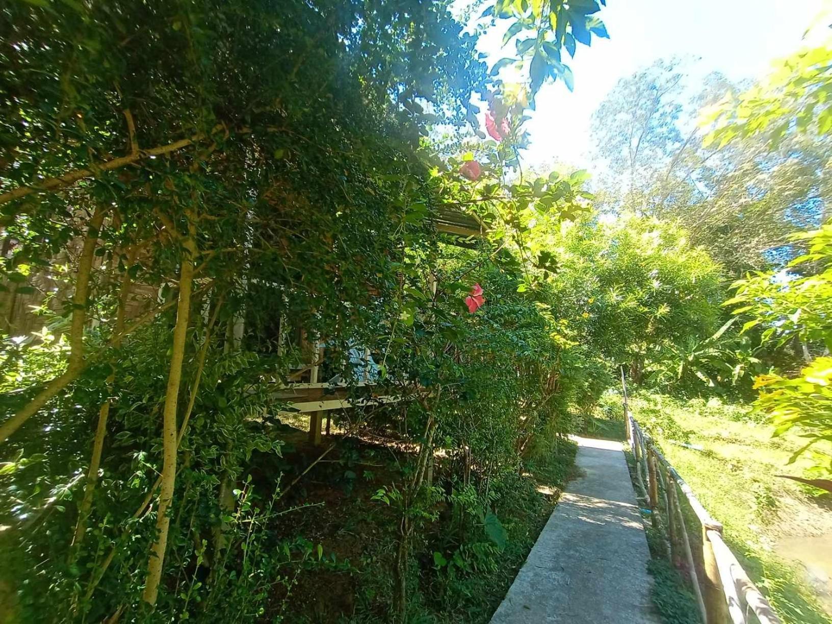 Koh Mook Bamboo Bungalows מראה חיצוני תמונה