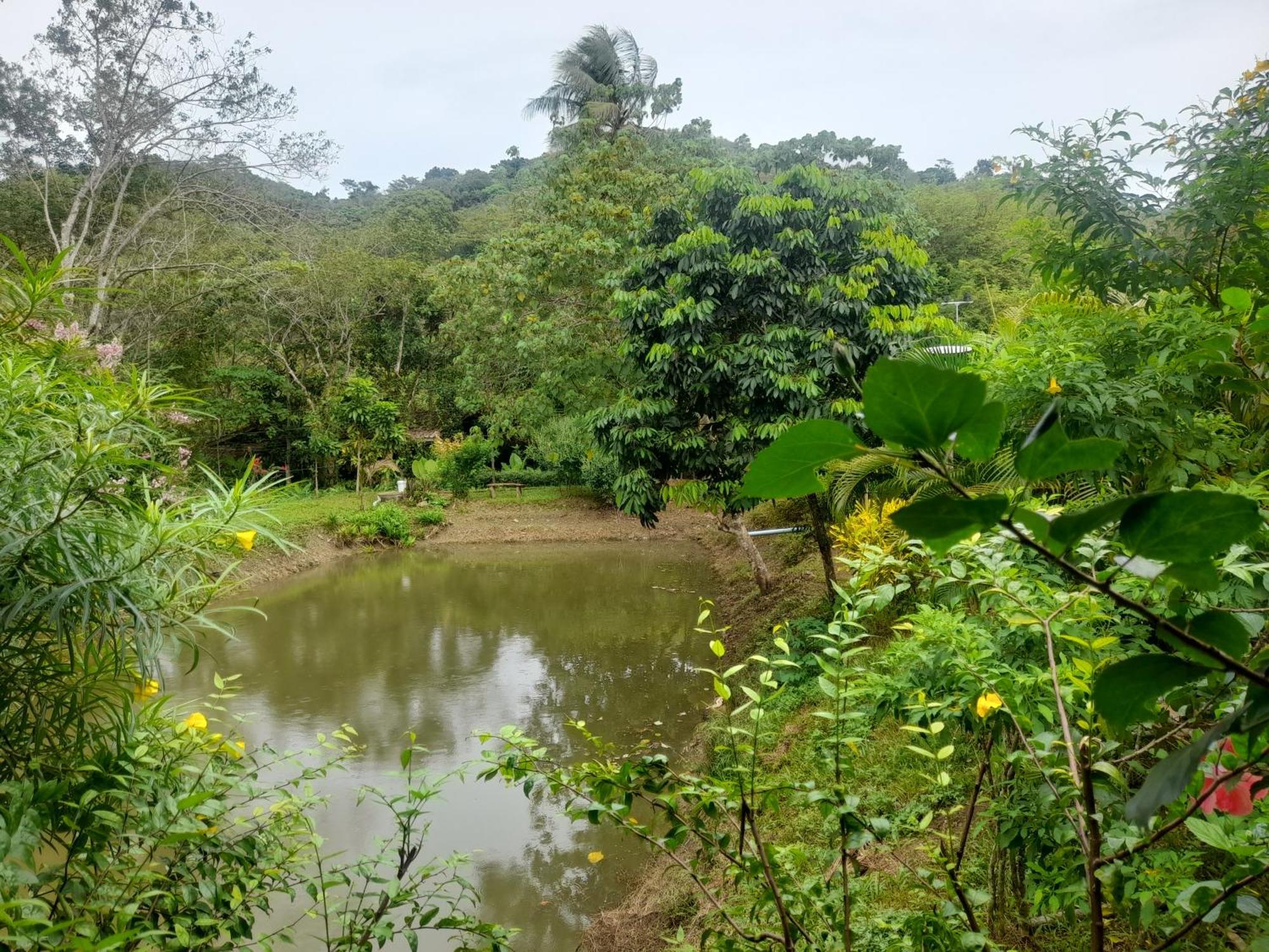 Koh Mook Bamboo Bungalows מראה חיצוני תמונה