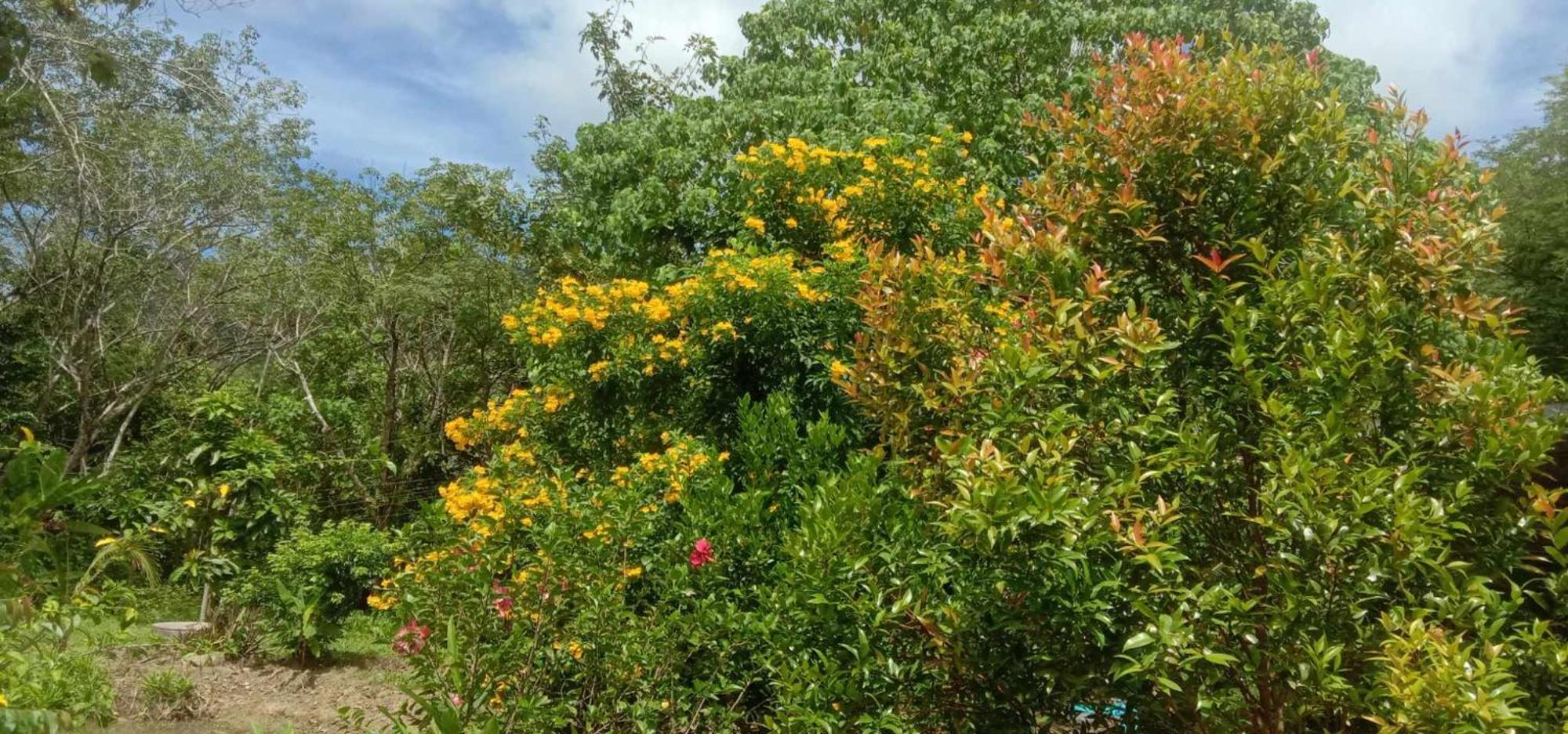 Koh Mook Bamboo Bungalows מראה חיצוני תמונה